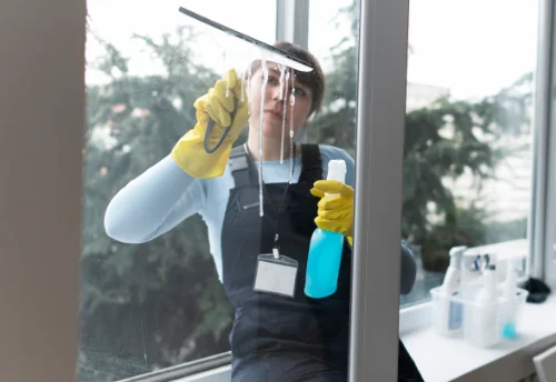 Nettoyage de vitres intérieures et extérieures à Douadic